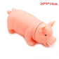 Squealing pig dog toy