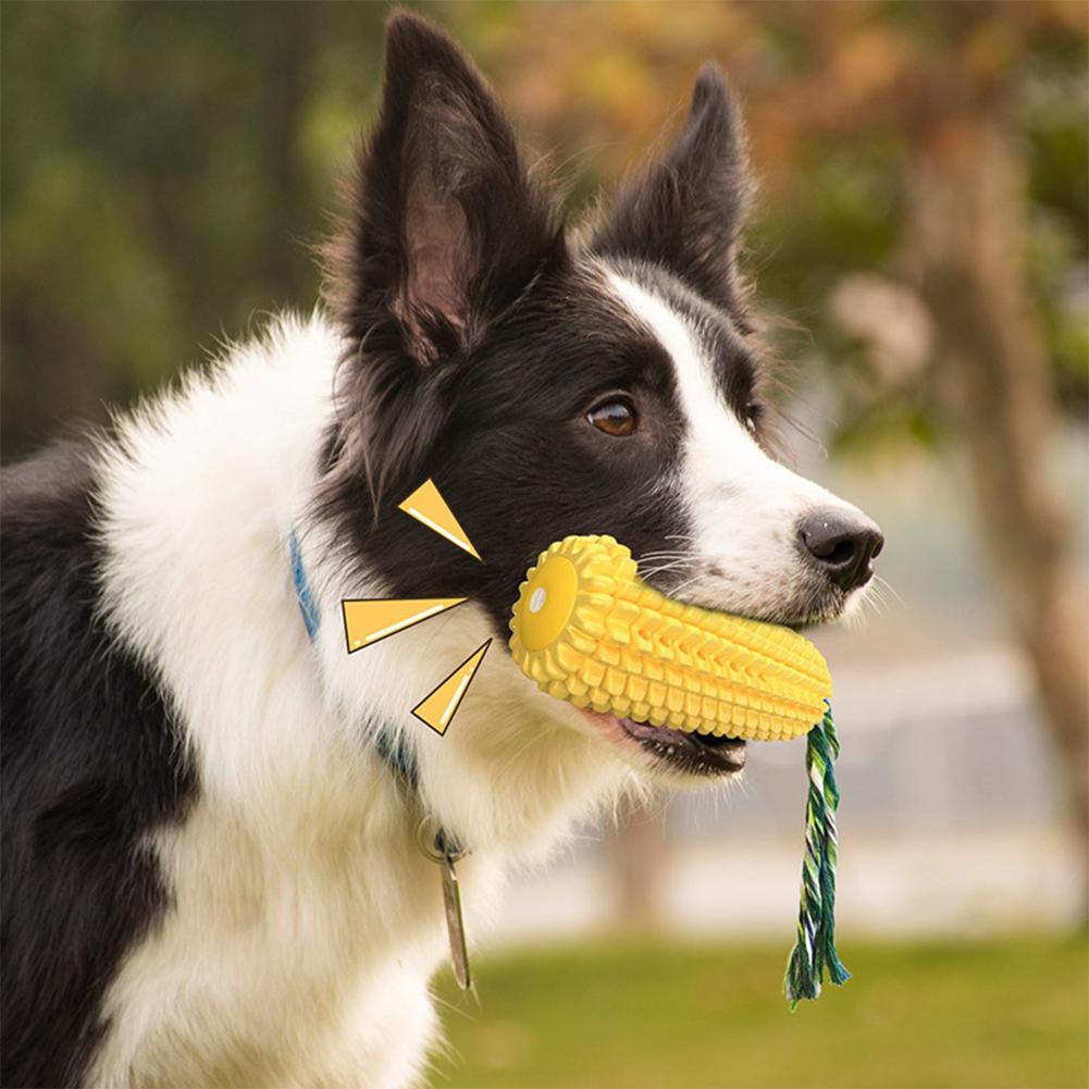 Squeaking Corn Chewing Toy