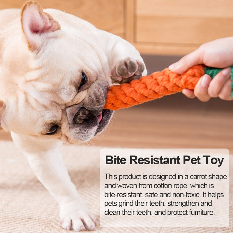 Tuff braded carrot toy